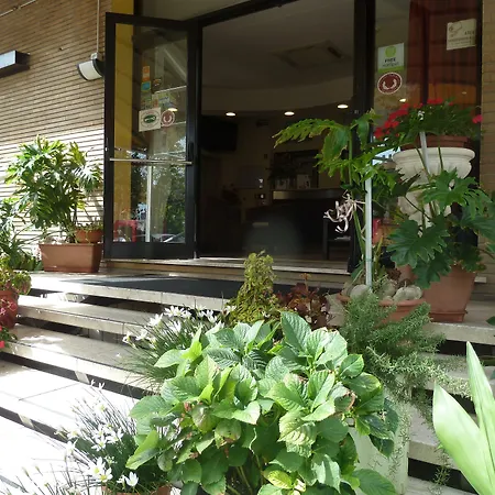 Crosal 3* ريميني